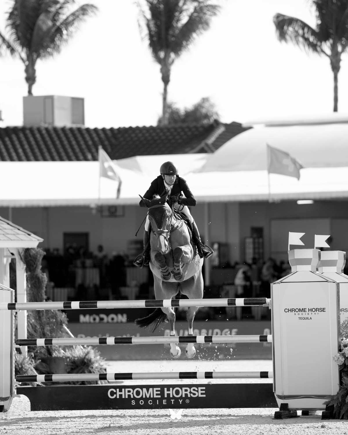 Sponsor of CSI2* Division Week 5